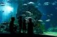 Aquarium au Cap d'agde a seulement 9km de Vias plage