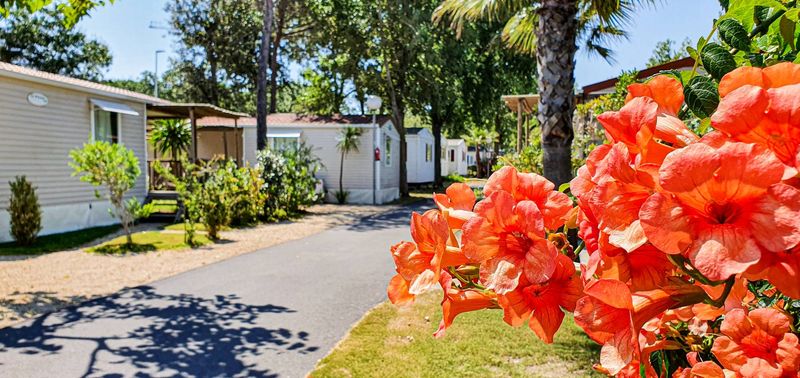 Camping Le Mas de la Plage vias dans l'Hérault
