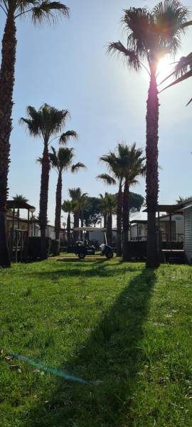 Location de mobil home dans camping bord de plage de Vias-Plage