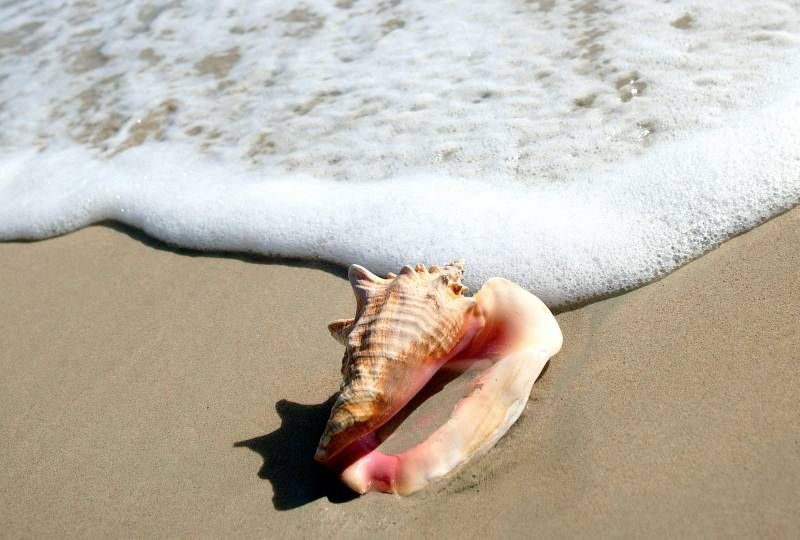 Camping Le Mas de la Plage à Vias-Plage bord de mer
